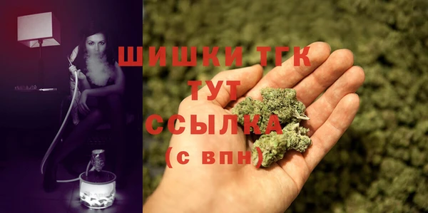 a pvp Каменка