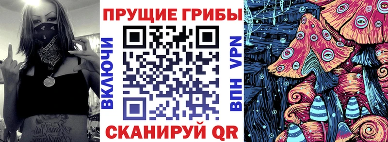 Купить закладки  Жирновск  Псилоцибиновые грибы MAGIC MUSHROOMS 