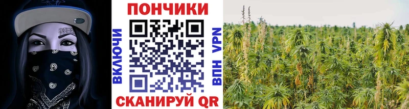 Бошки марихуана Bruce Banner  Купить где  Жирновск 